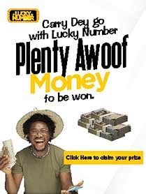 Lucky Number: SMS Lottery Service in Nigeria .